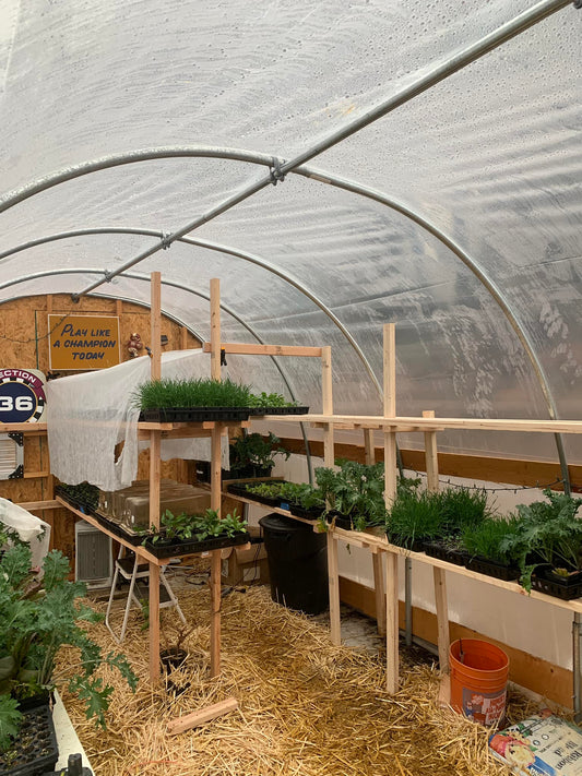 Adding Shelves in our Hoop House