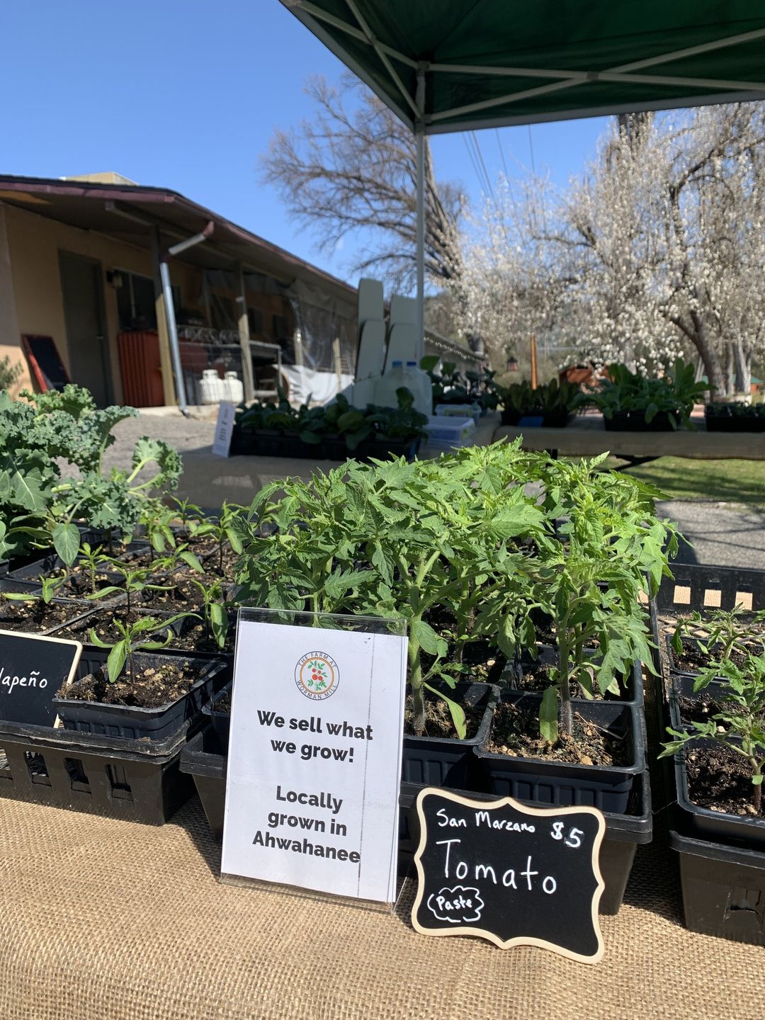 Let's Talk About Spring 2023 Pricing for a Minute