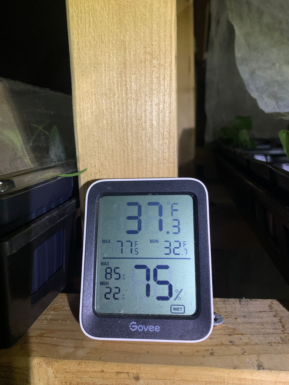 Keeping Plants Warm When It is So Cold