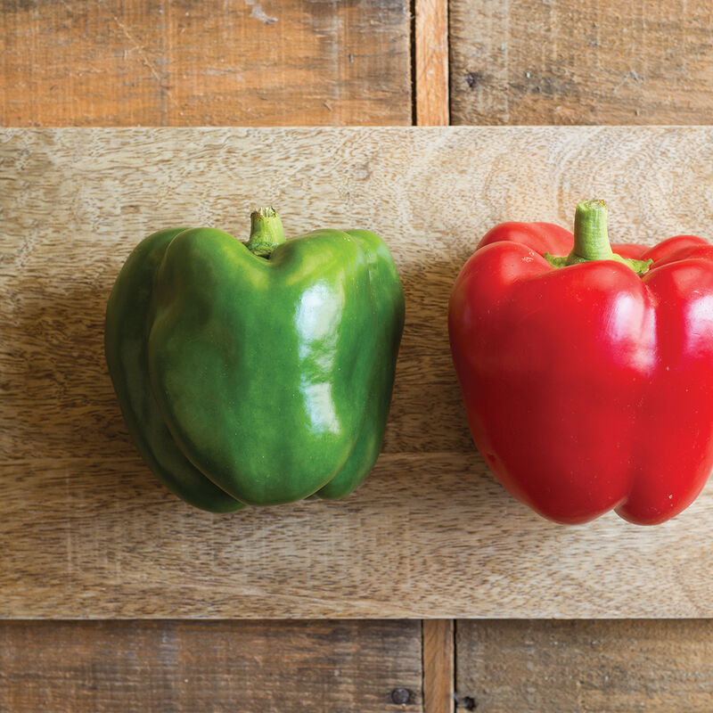 King Arthur Green Bell Pepper