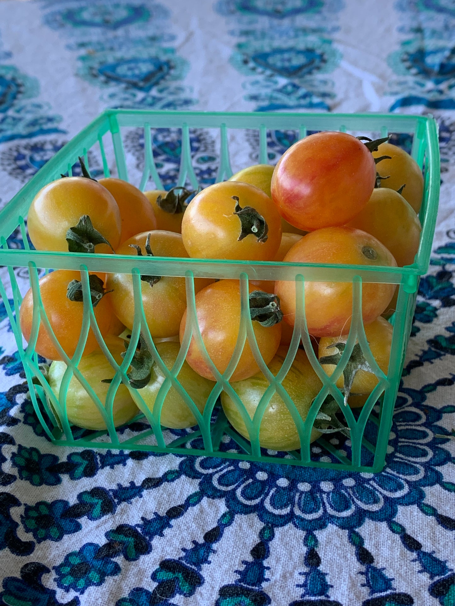 Cherry Tomato
