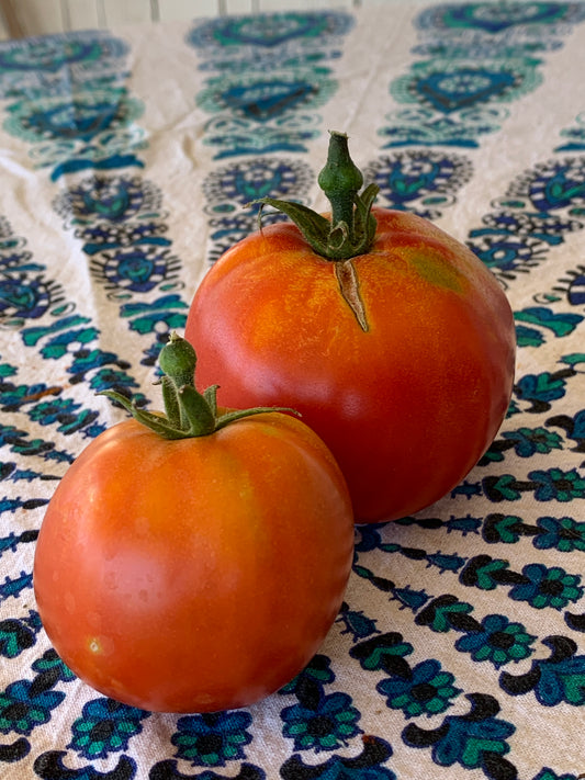 Slicer Tomato
