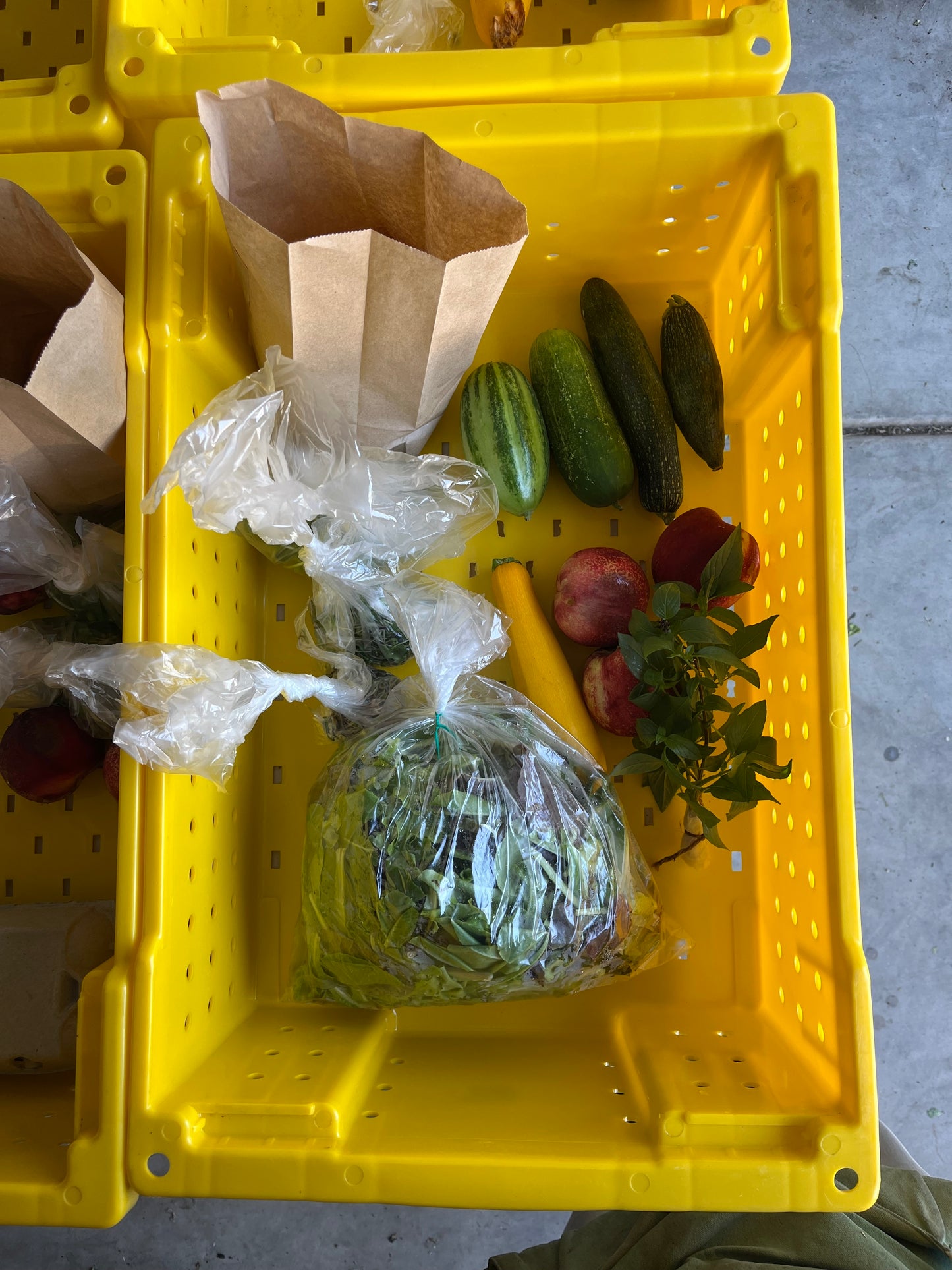2025 Farm Box Subscription