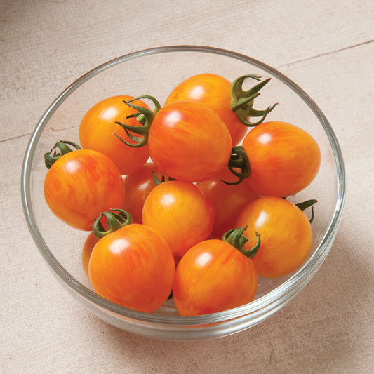 Sunrise Bumble Bee Tomatoes