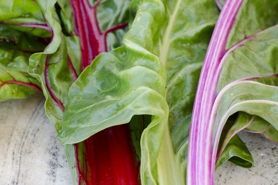 Rainbow Chard