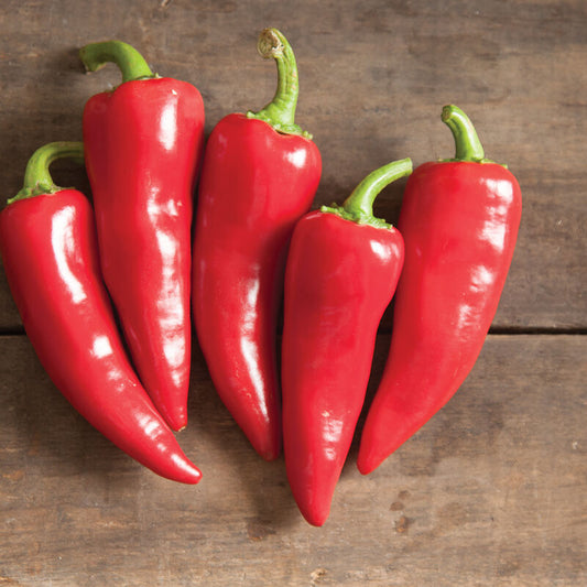 Fresno Chili