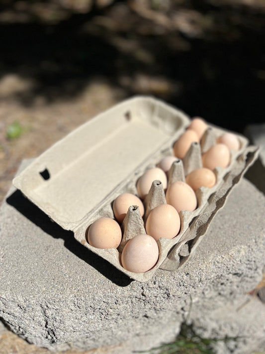 Farm Fresh Eggs