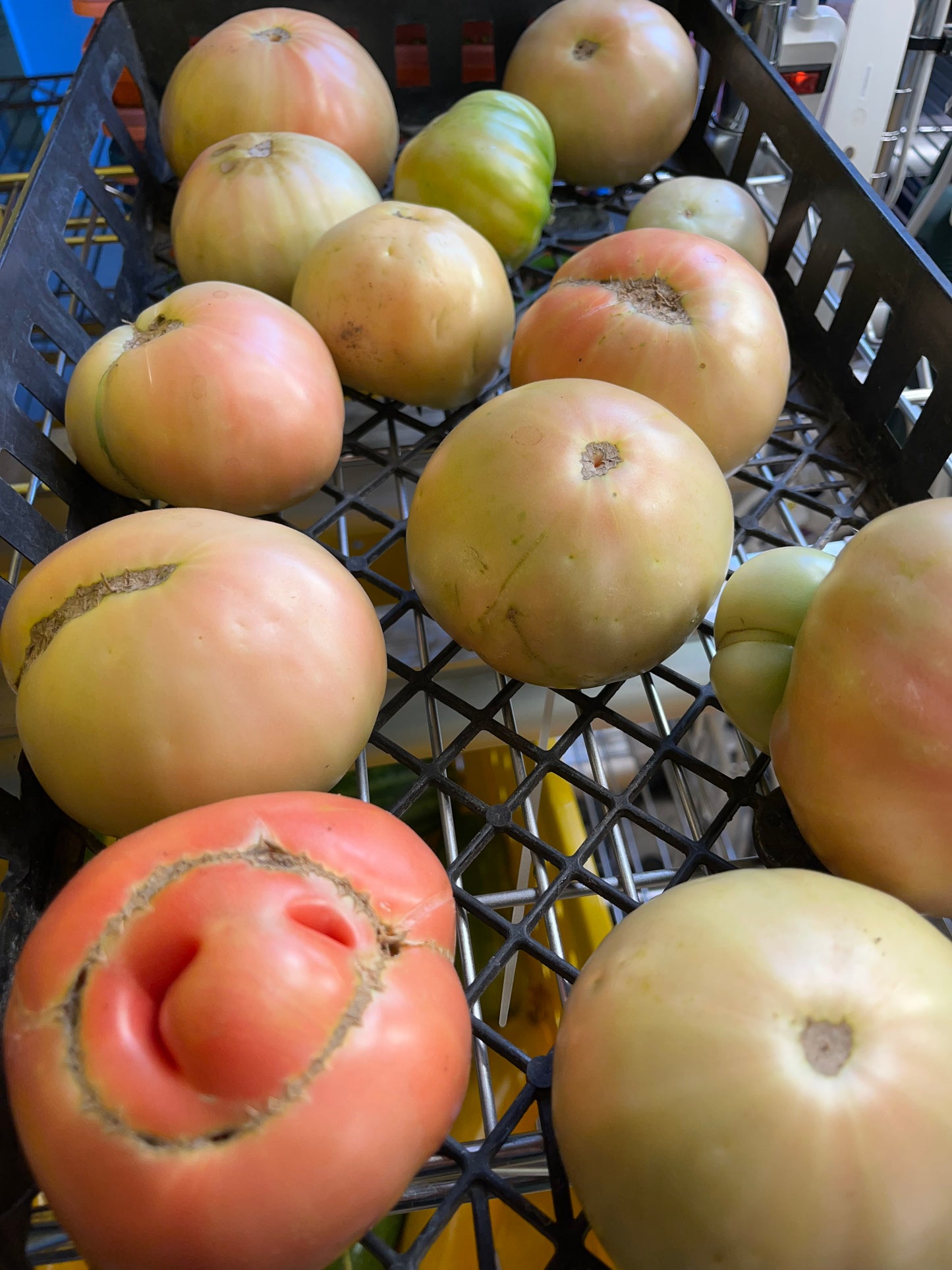 Fresh Heirloom tomatoes