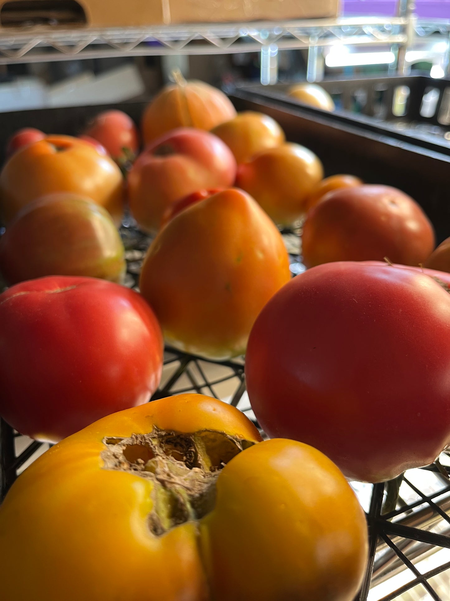 Fresh Heirloom tomatoes