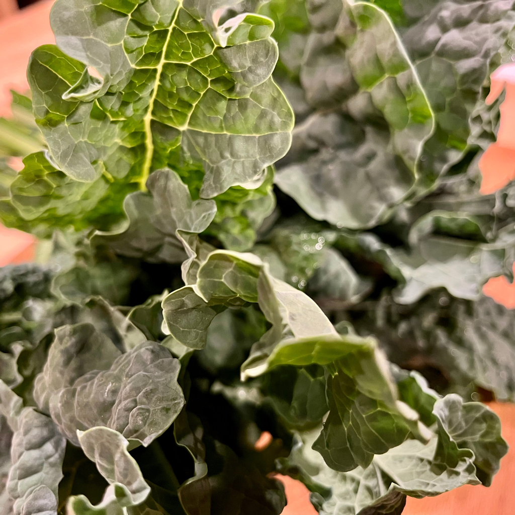Black Magic Kale, fresh