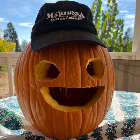 Connecticut Field Pumpkin
