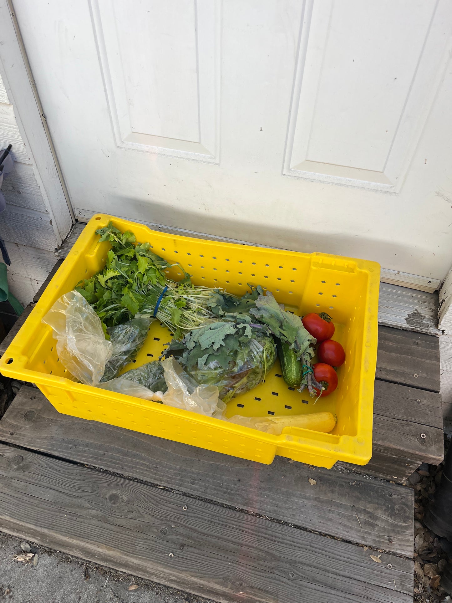 Summer CSA Deposit
