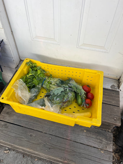 Summer CSA Deposit