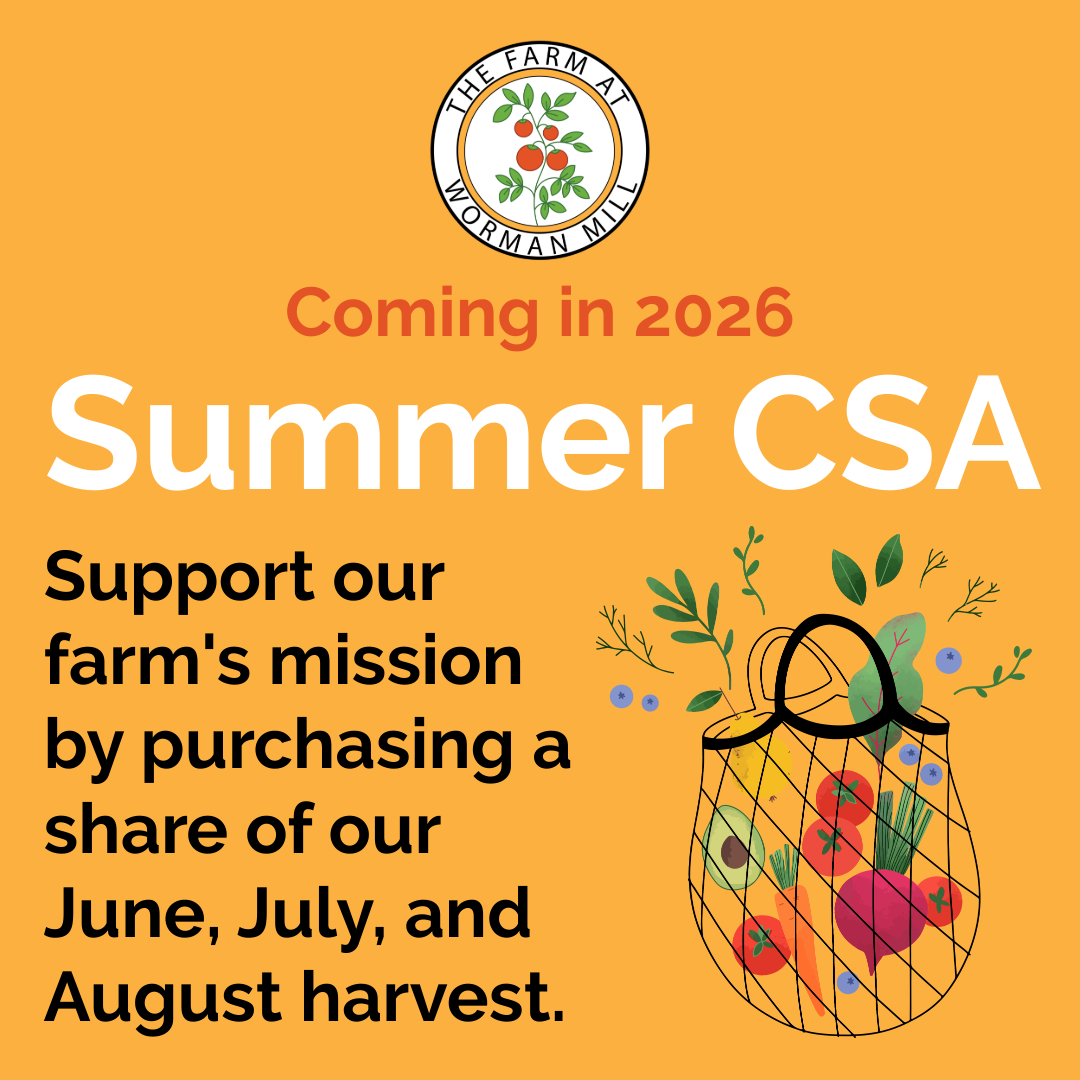 2026 Summer CSA