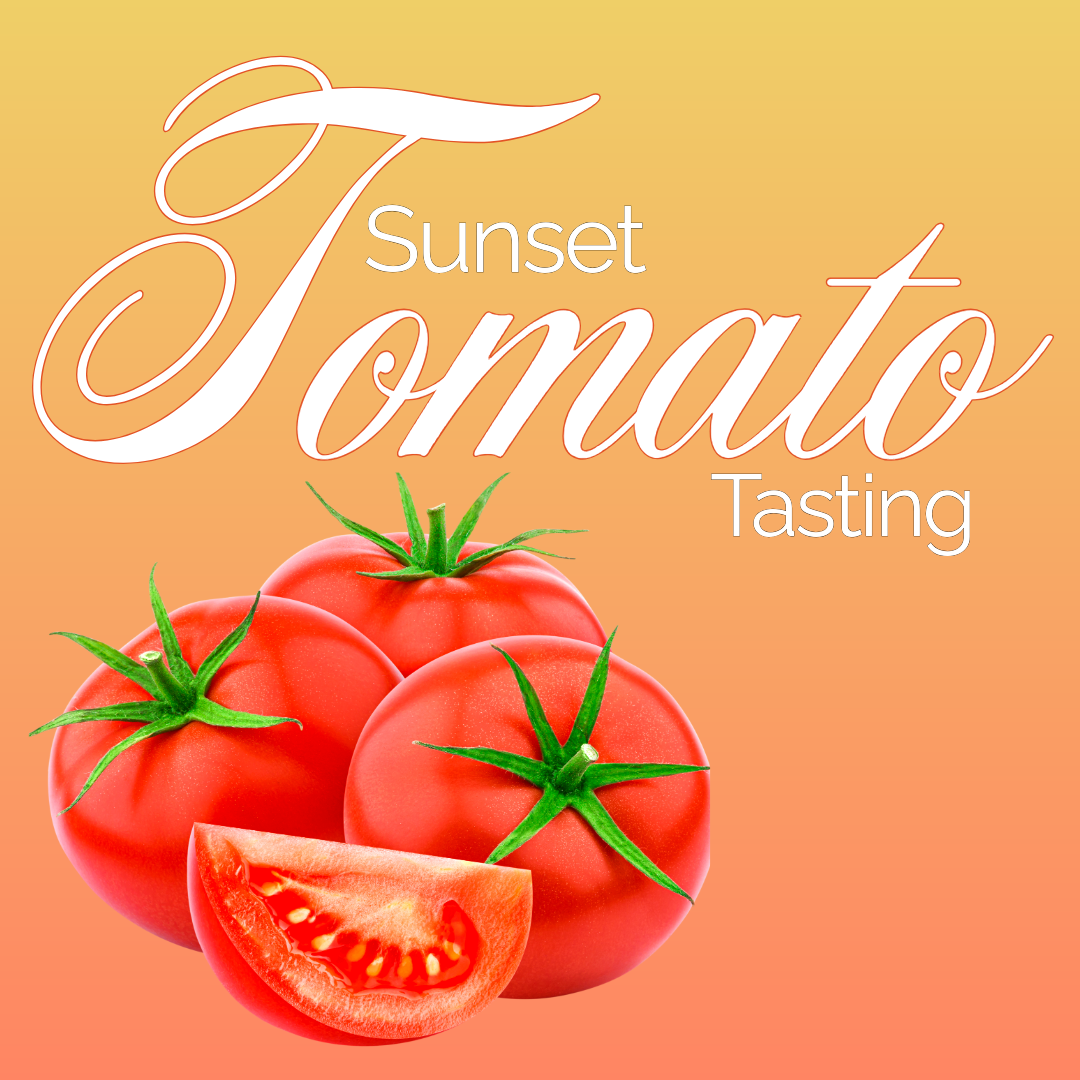 Sunset Tomato Tasting