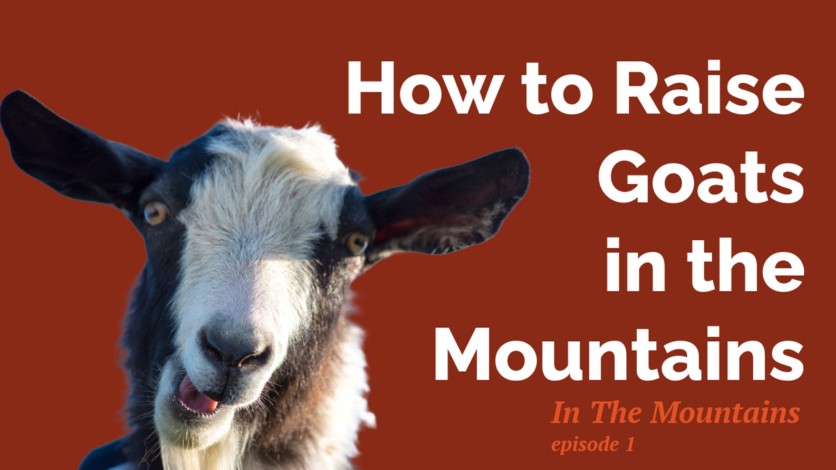Load video: In The Mountains Podcast