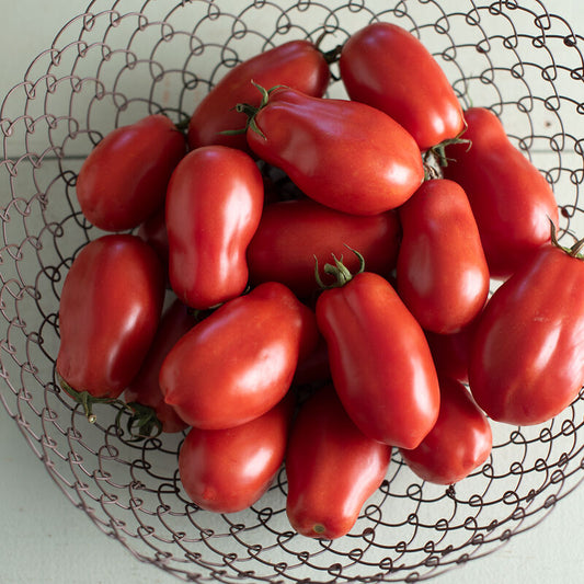San Marzano II Tomato