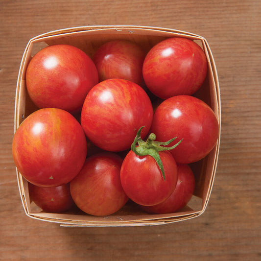 Pink Bumble Bee Tomatoes