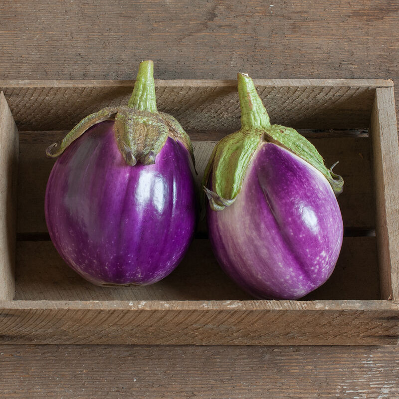 Rosa Bianca Eggplant