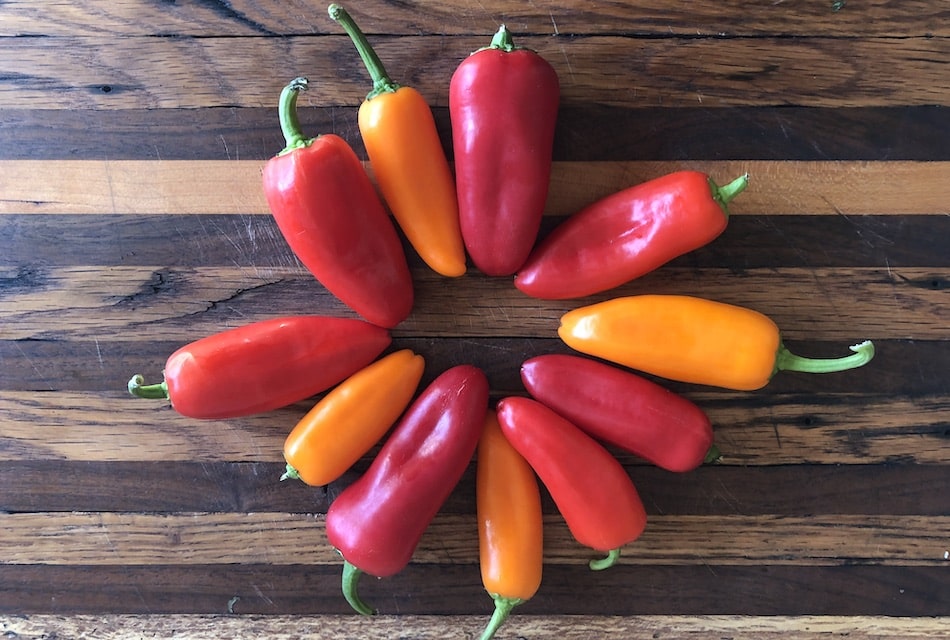 Sweet Lunchbox Peppers